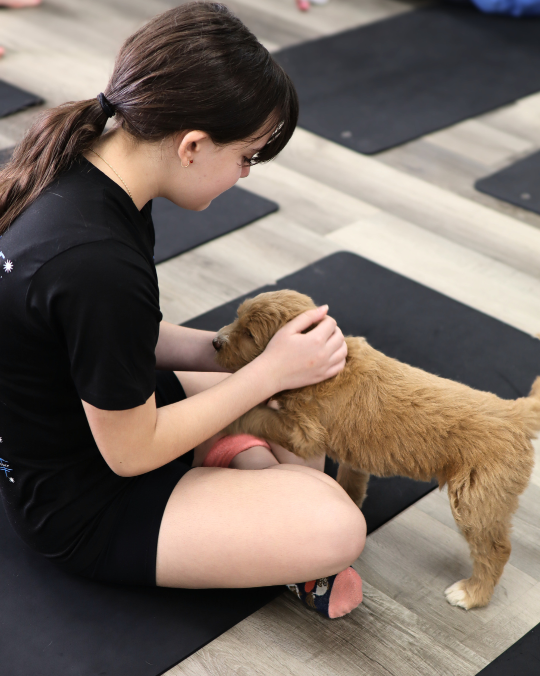 Young woman petting a golden puppy on the yoga studio floor